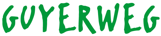 stiftung-guyerweg_logo.png